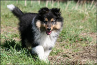 Bailey okt 2010