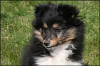 Bailey okt 2010