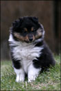 Bailey okt 2010