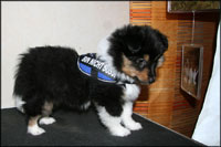 Bailey okt 2010