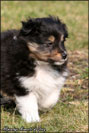 Bailey okt 2010