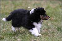 Bailey okt 2010