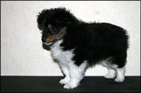Bailey okt 2010