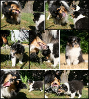 My Li siebte Woche