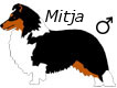 Mitja