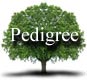 pedigree